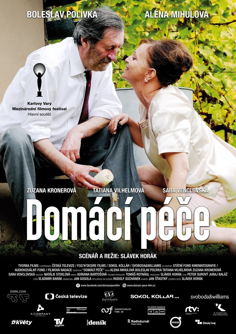 Domácí péče (2015)