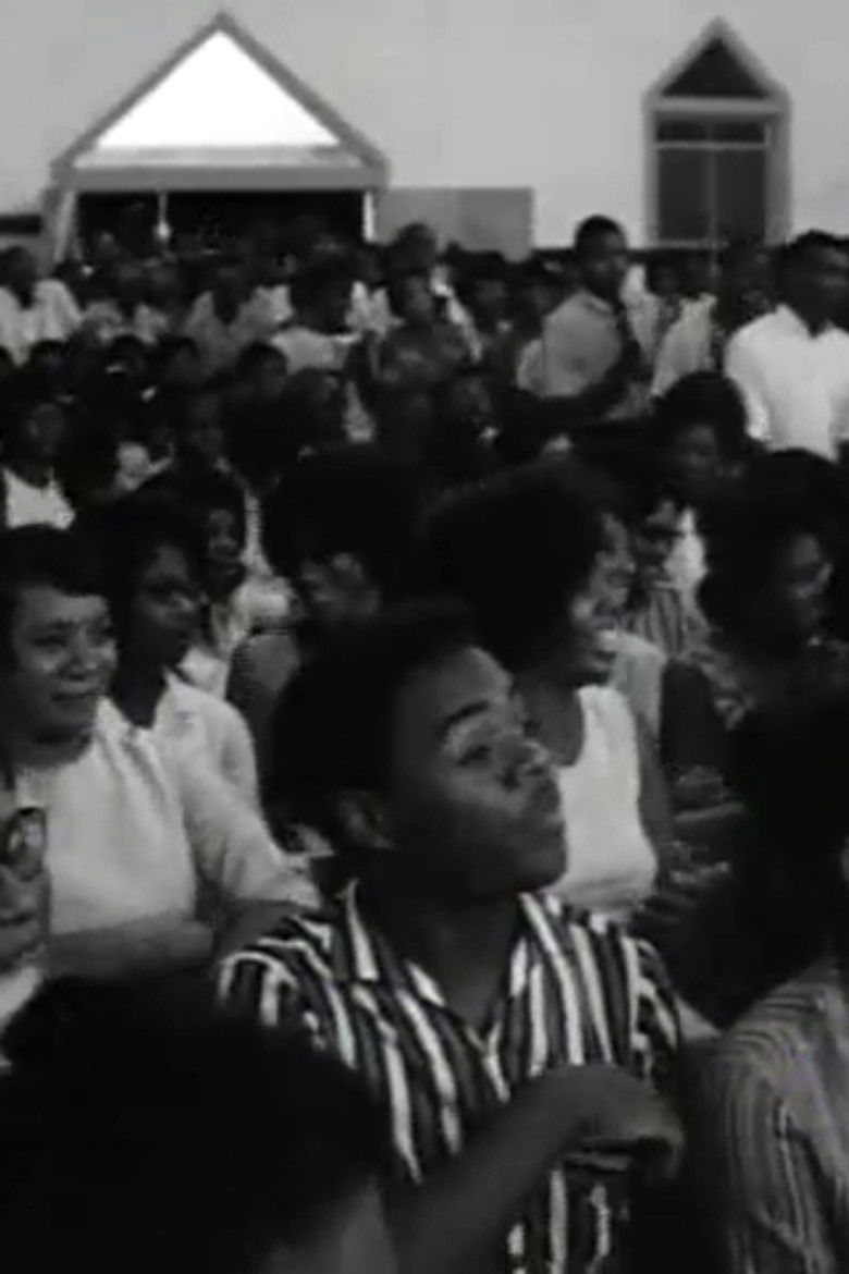 Imatge de Black Natchez