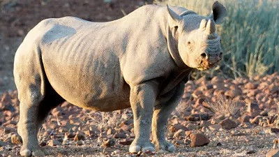 Still image for Mission : sauver le monde sauvage season 1 episode 1: Episode 1