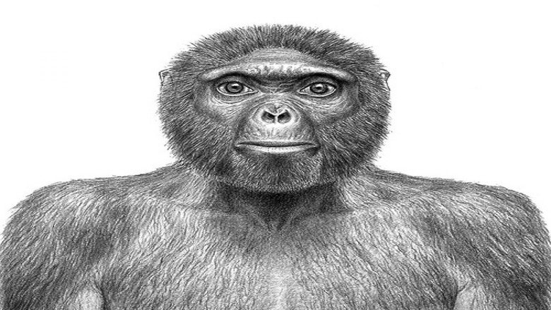 The Extraordinary Story of Man (First Part) (Second Version)