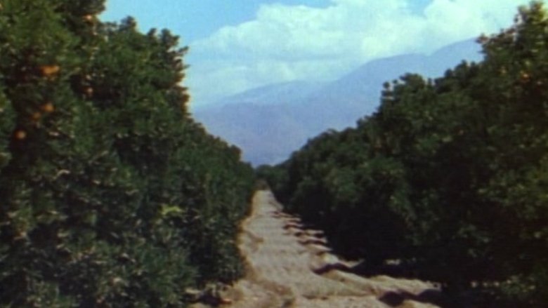 Gallery image from zkZpS0frBBTTg46McimZ3JtBj7U.jpg