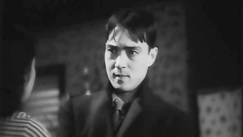 Zkp1kislypenedkg5xslwxgisi0