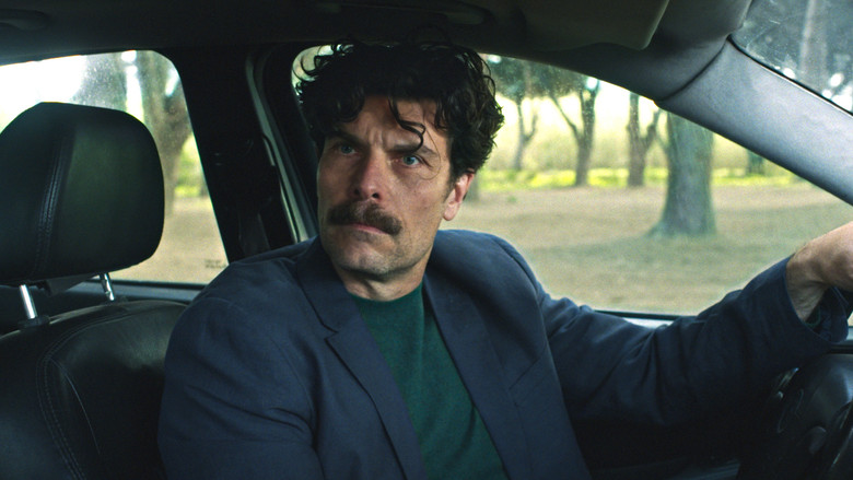 Imatge de Affection Affection