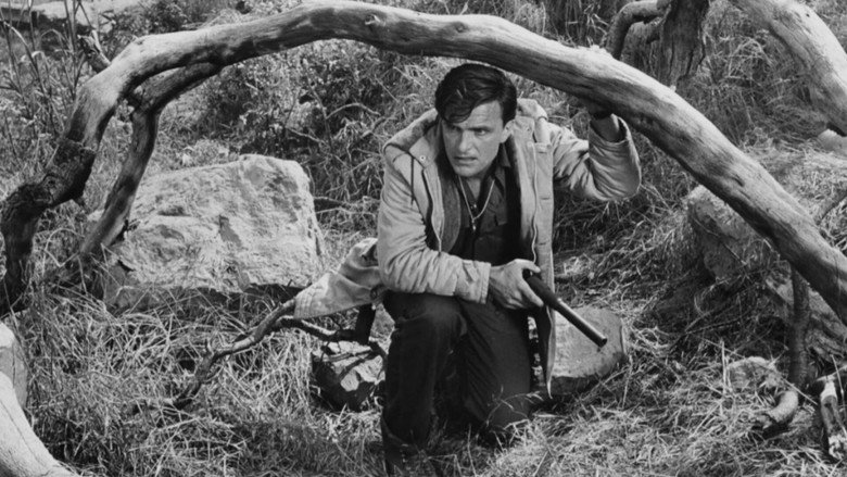 Image d'arrière-plan 9 du film Night of the Blood Beast