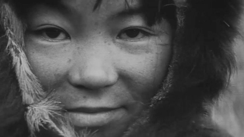 Gallery image from zljTE9jZsTVeiod8UMgHRADNmdA.jpg