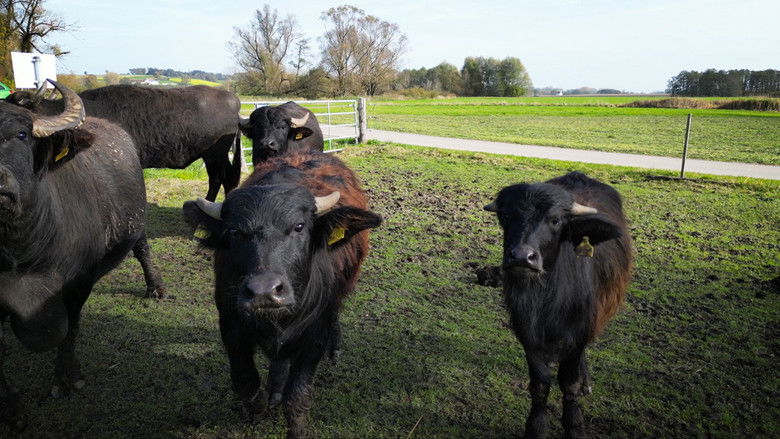 Still image for Helden der Landwirtschaft season 1 episode 10: Episode 10