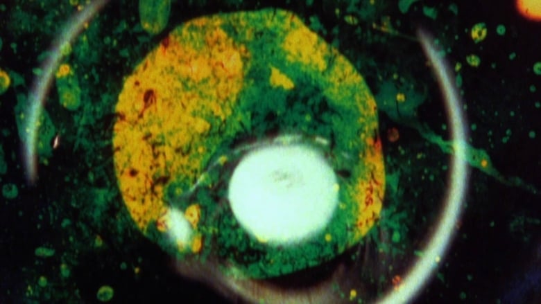 By Brakhage: An Anthology, Volume One