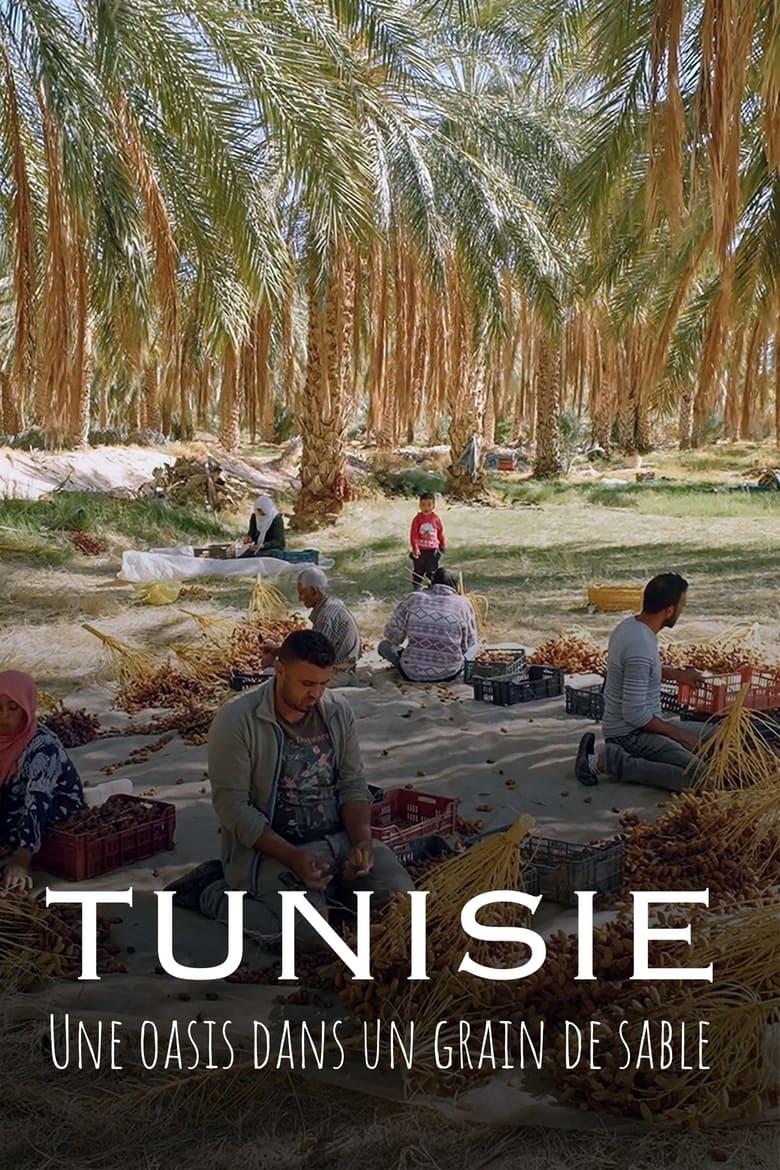 Tunisie : Une oasis dans un grain de sable main poster