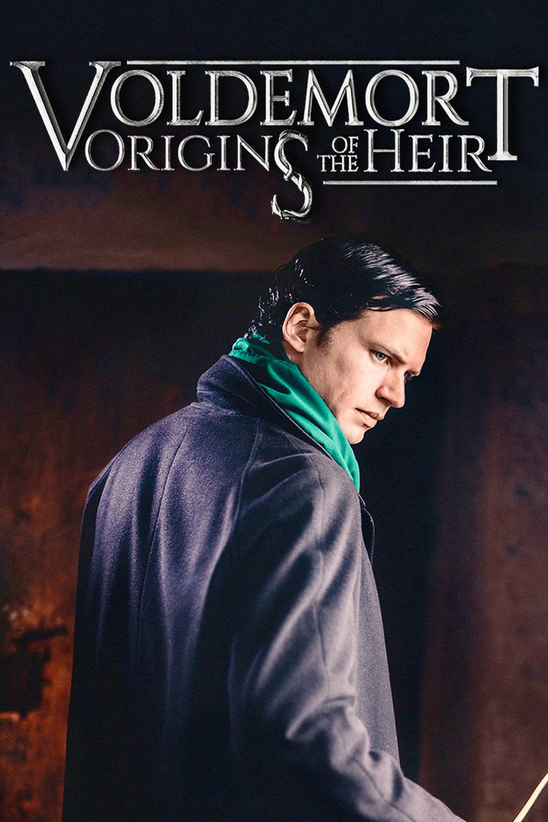 Voldemort: Origins of the Heir — poster