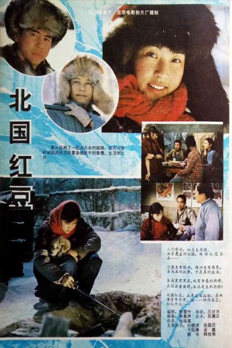 Imatge de 北国红豆