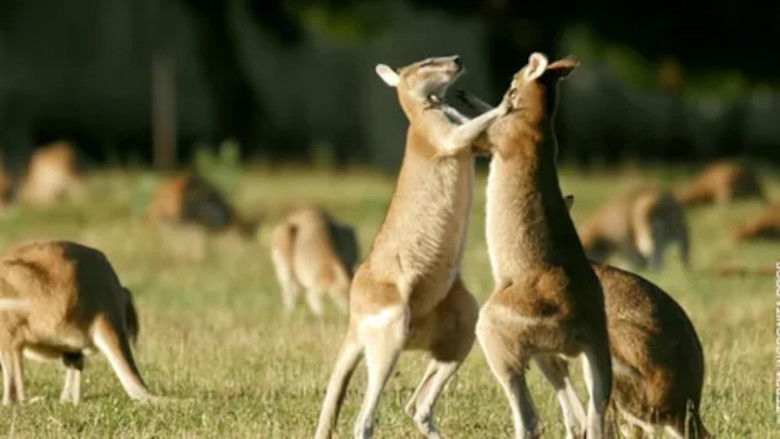 Still image for Biodiversité : les sanctuaires de l'espoir season 1 episode 3: Episode 3