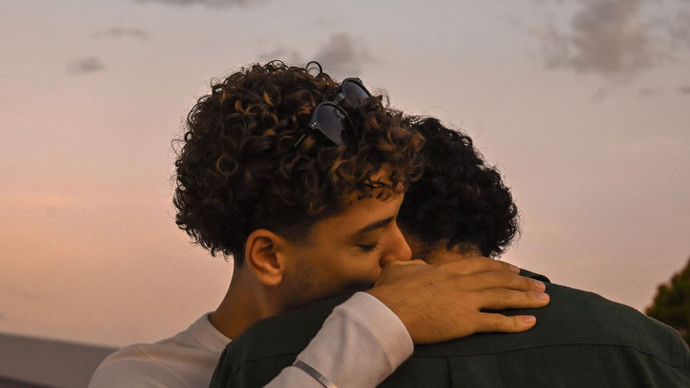 Sol e concreto (2025)