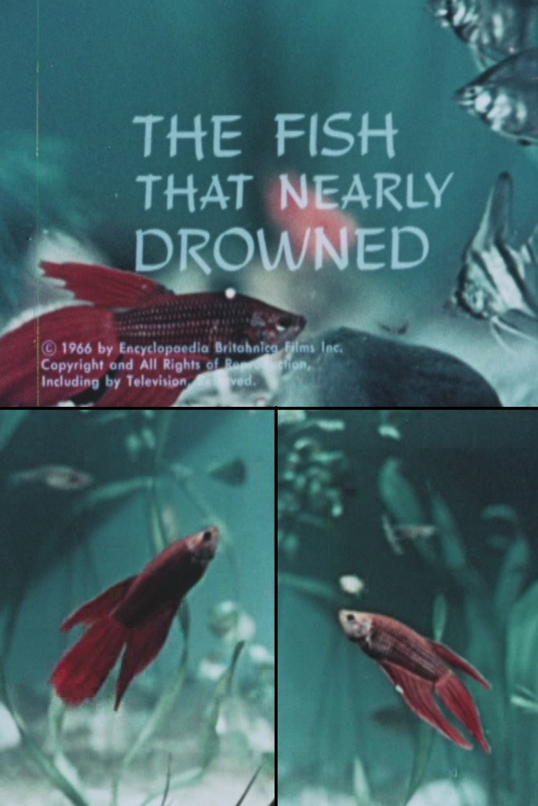 The Fish That Nearly Drowned background