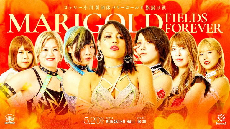 Still image for Dream Star★Fighting Marigold season 1 episode 1: Marigold Fields Forever