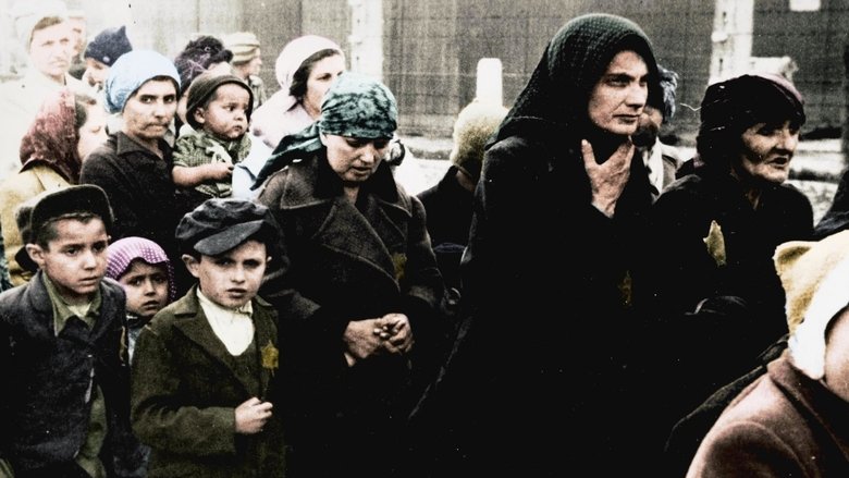 Auschwitz Untold: In Colour