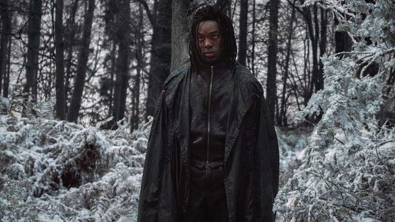 Zp9l82nqa8v86kf43u5w0gfa6se