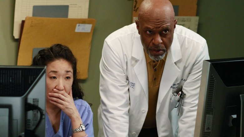 greys anatomy putlocker season 12 greys anatomy putlocker season 12