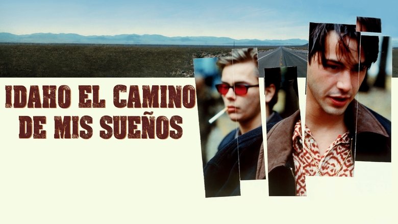 Mi Idaho privado (1991)