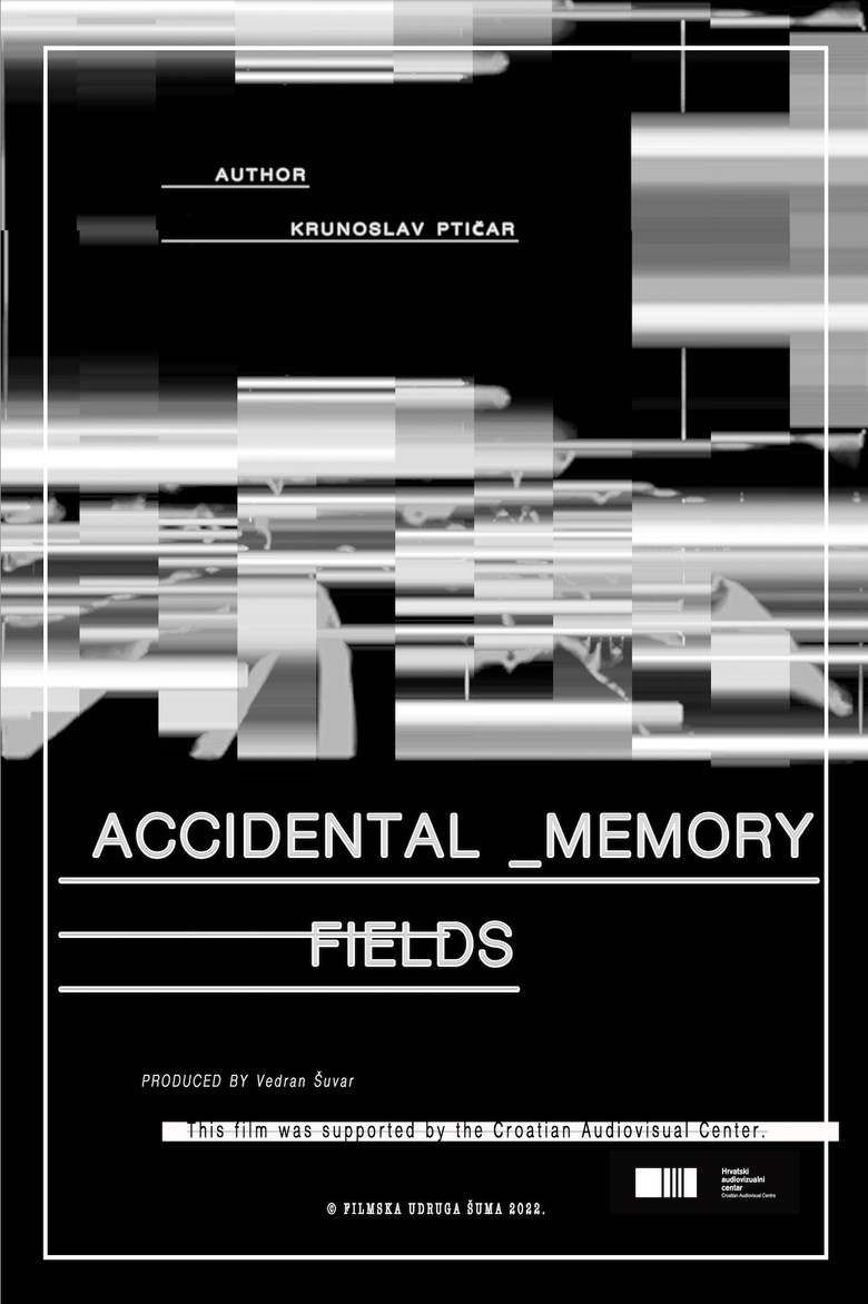 Affiche ou illustration — Accidental memory fields