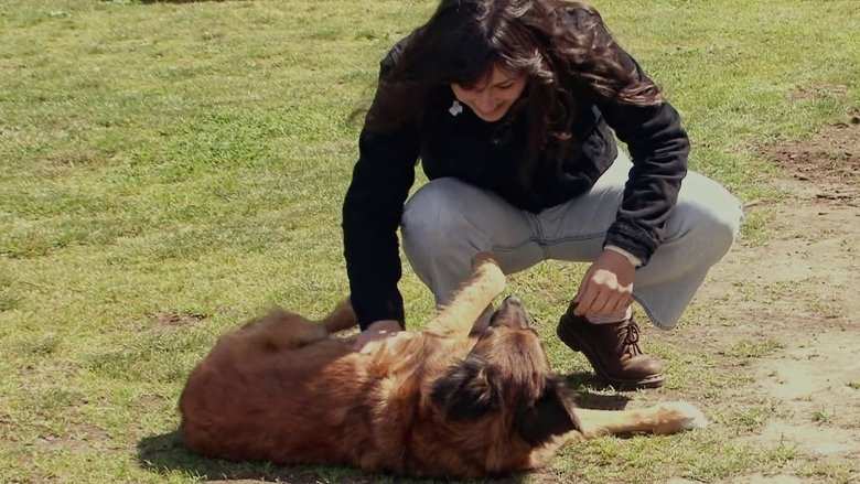 Gallery image from zqHPqPmlUJKxGeWvibFZ3A0JTSz.jpg