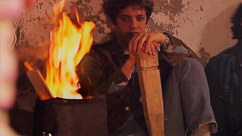 Gallery image from zrQSW9DlE2jUDqomXjiIeIrk735.jpg