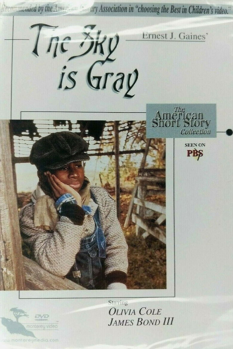 Imatge de The Sky Is Gray