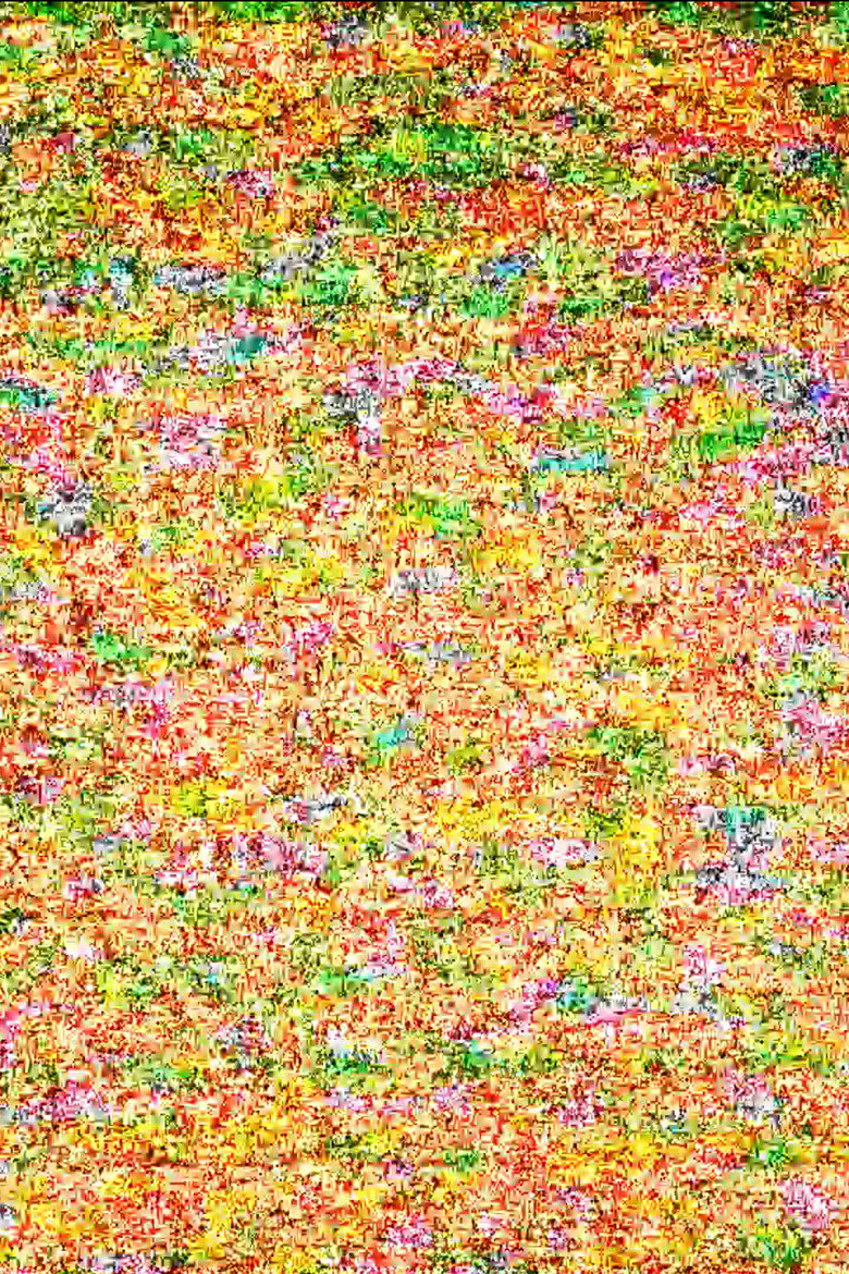 Imatge de Untitled