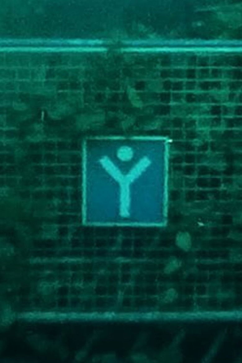 Imatge de I Feel Like a Stranger But I Know I Left Pieces of Myself Here