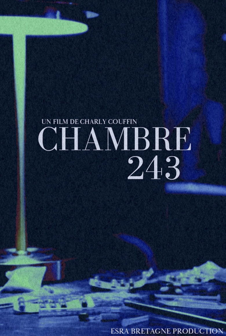 Imatge de Chambre 243