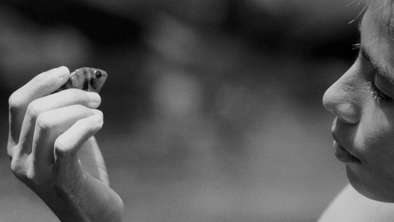 Gallery image from zsOOHh8bsSNBys1UWDNOKeMjWgT.jpg