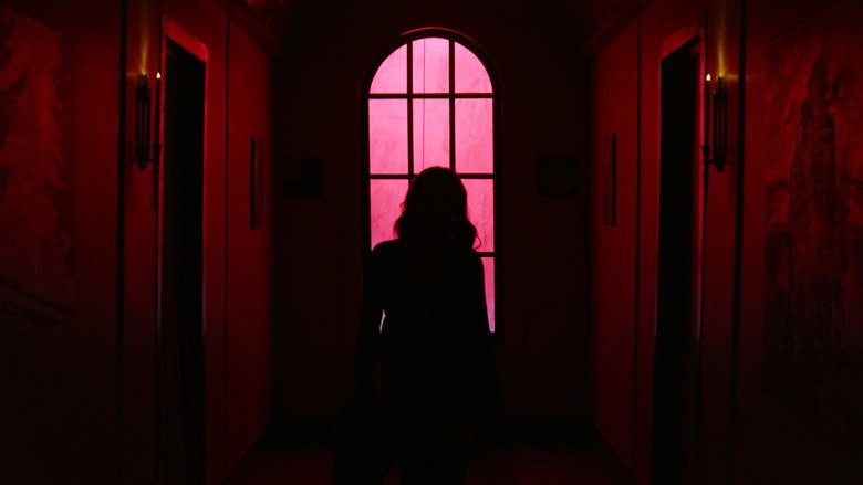 Gallery image from ztZUyqcCCvZbWt3MdJllTrFPL7q.jpg