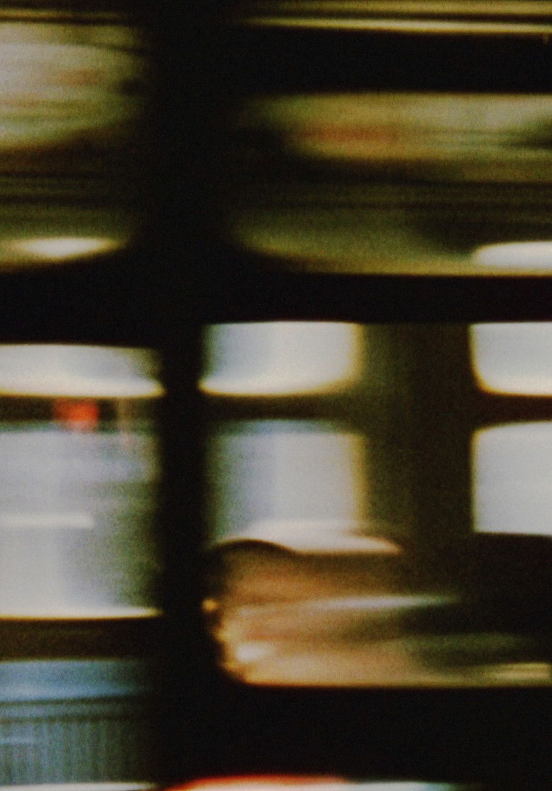 Imatge de The Wonder Ring