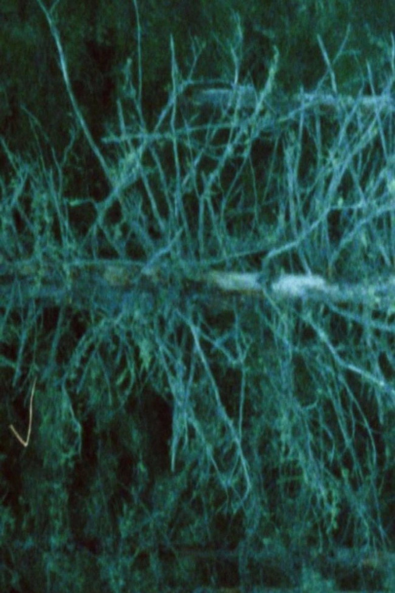 Nécrose