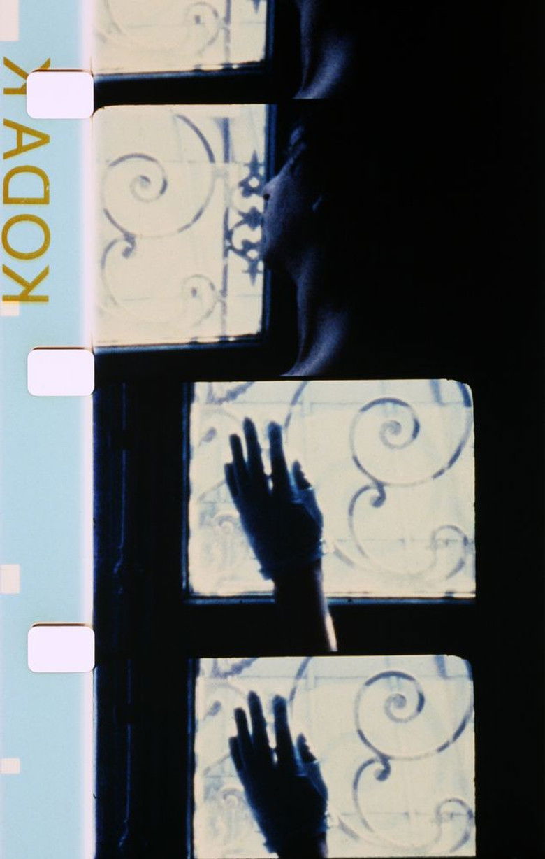 Imatge de Le gant de l'autre