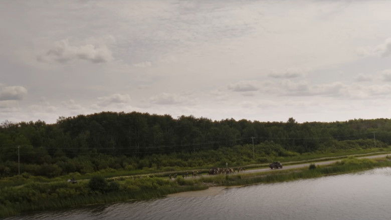 Zukafuxb1s1r0hwmcodekoo3hsy