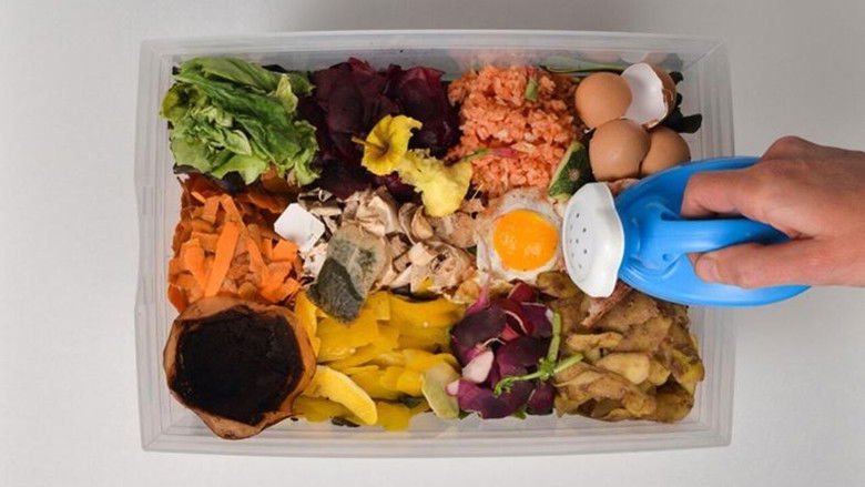 Imatge de Illustration : compostage