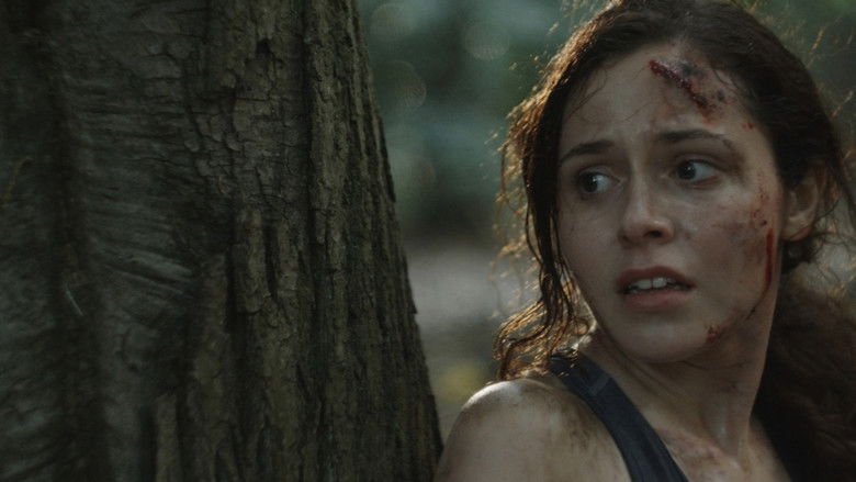 Imatge de The Caecus