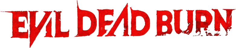 film Banner