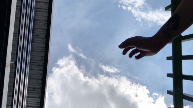 Gallery image from zwwegQHKyrrgBn5Uml8l9RzPysr.jpg