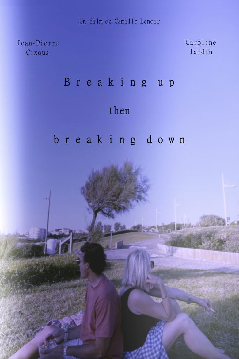 Imatge de Breaking up then breaking down