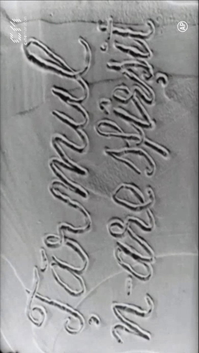 Imatge de Țărmul n-are sfârșit