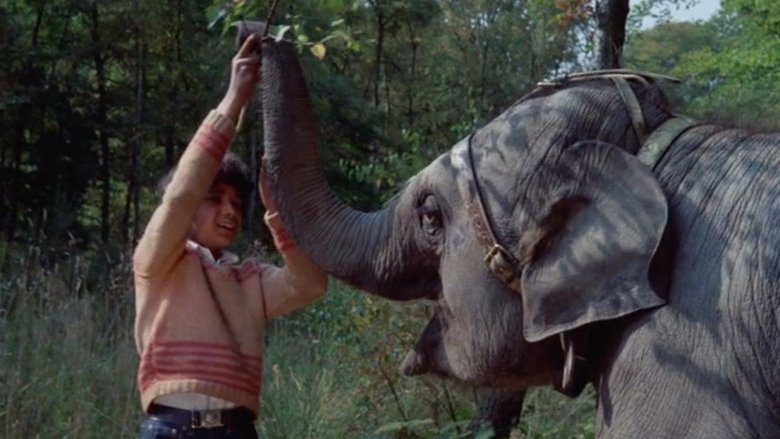 Anoop and the Elephant movie poster