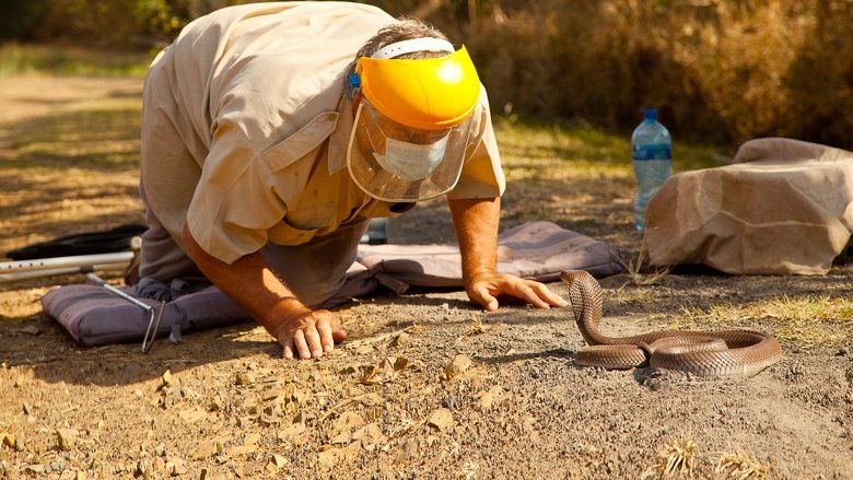 Gallery image from zzD9SAR6YTttK4ZtOZqyPKCVzGC.jpg