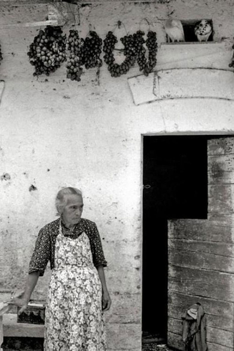 Imatge de Maria e i giorni