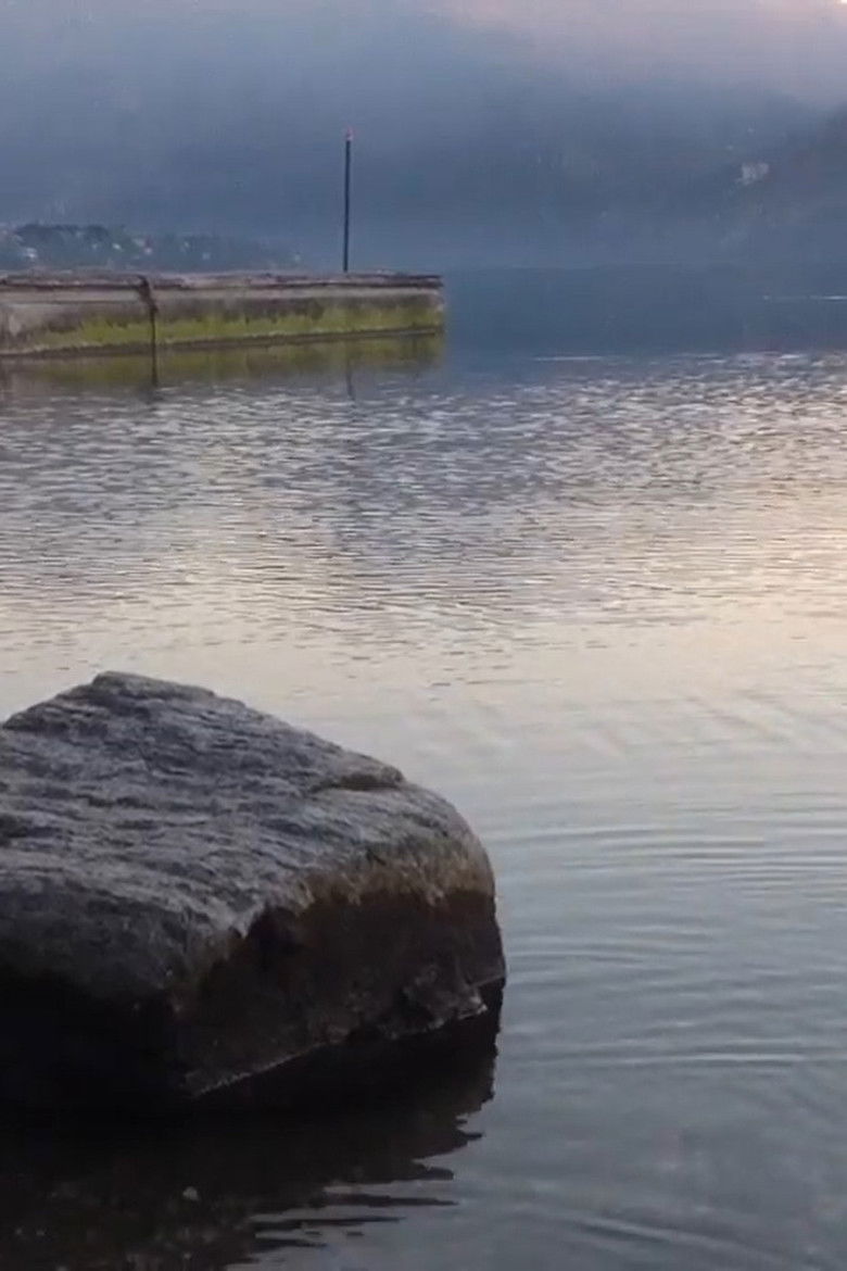 Imatge de Solitude of a young dude in a small town