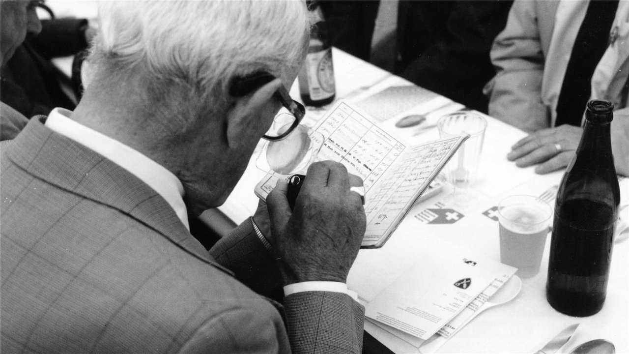 Palaver, Palaver poster