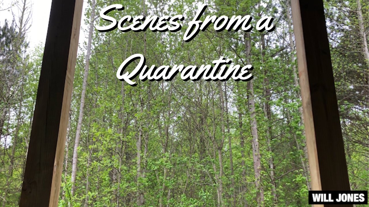 Scenes from a Quarantine poster