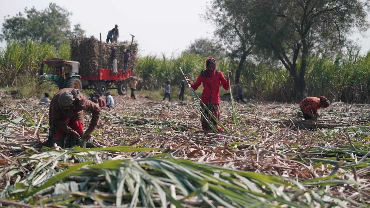 Inde : les villages sans utérus / RDC : le long chemin d’un salaire poster
