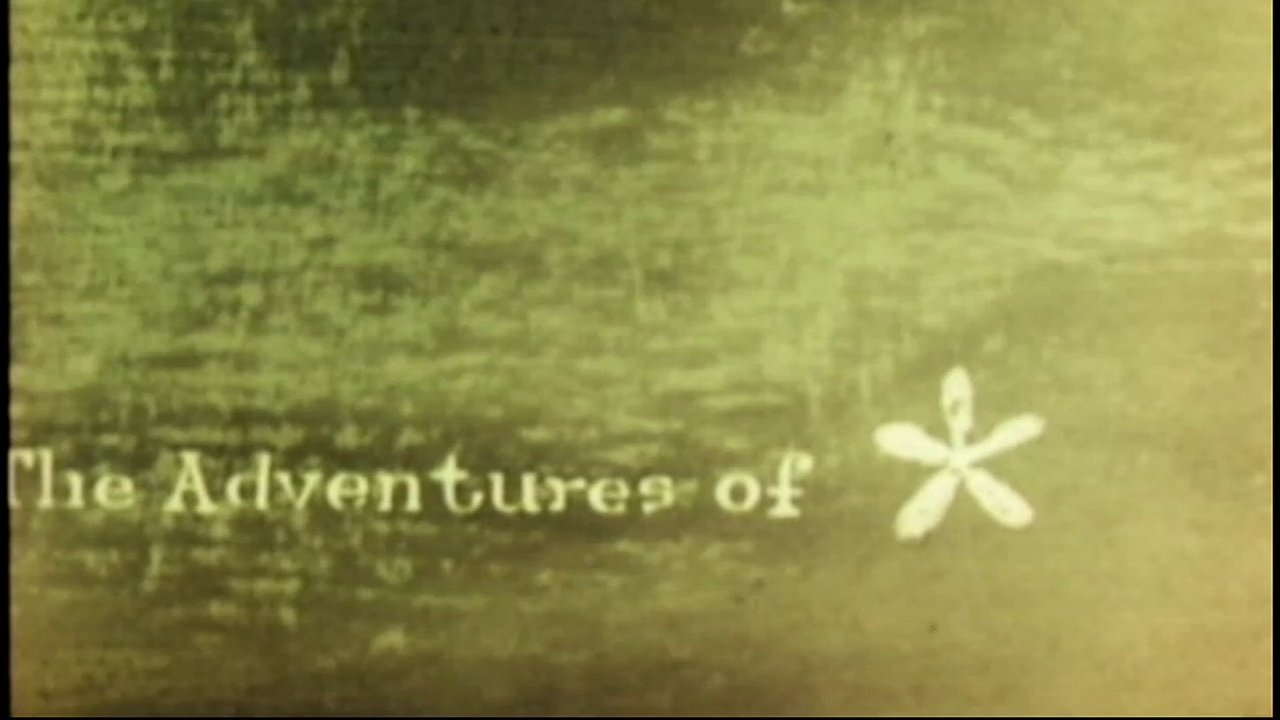 The Adventures of * poster