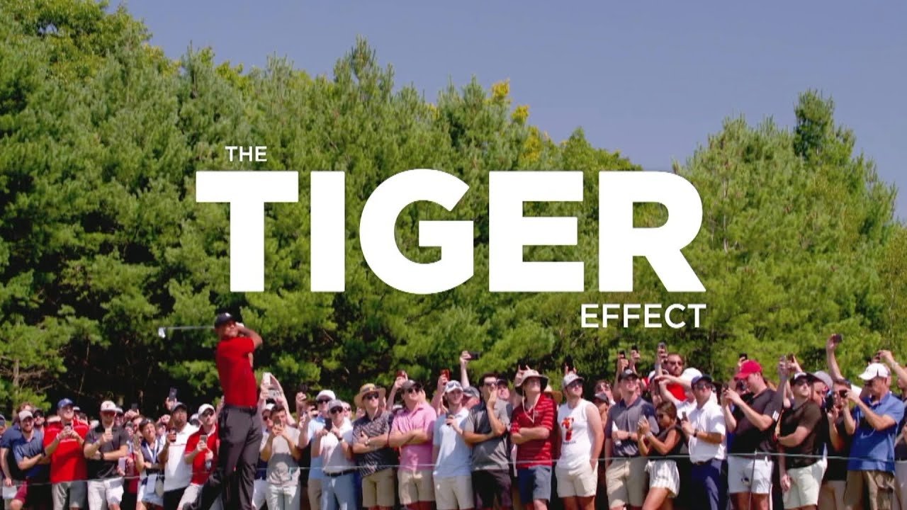 The Tiger Effect poster